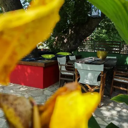 Filio Sonia 2 Apartamento