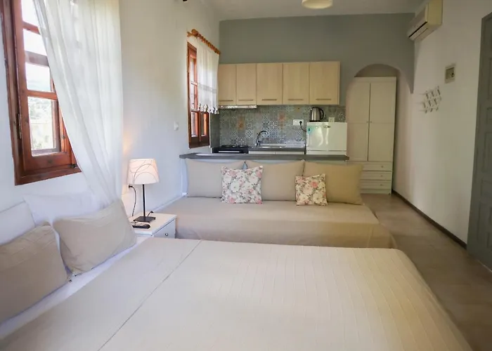 Filio Sonia 2 公寓 沃尔沃罗