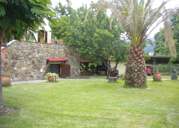 Filio Sonia 2 沃尔沃罗